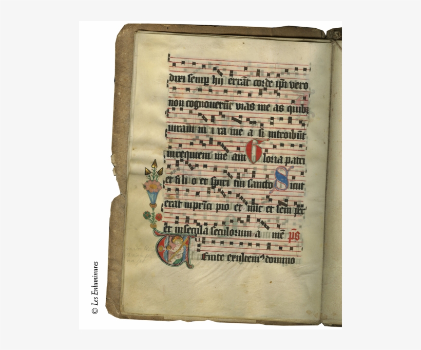 Gold Decorative Lines Png, transparent png
