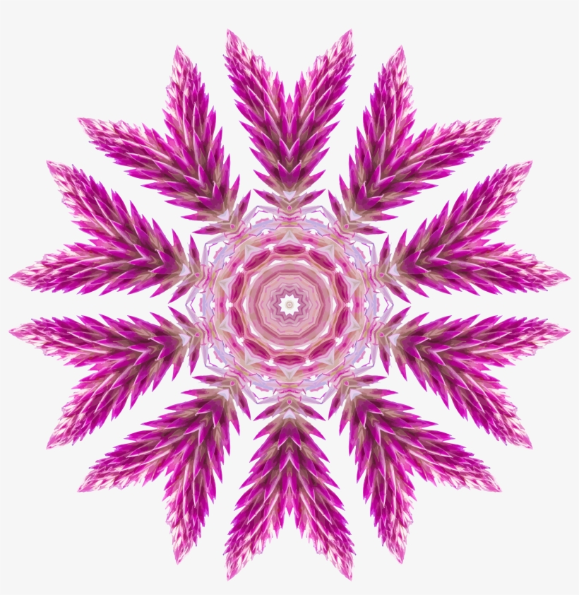 This Free Icons Png Design Of Wildflower Kaleidoscope, transparent png