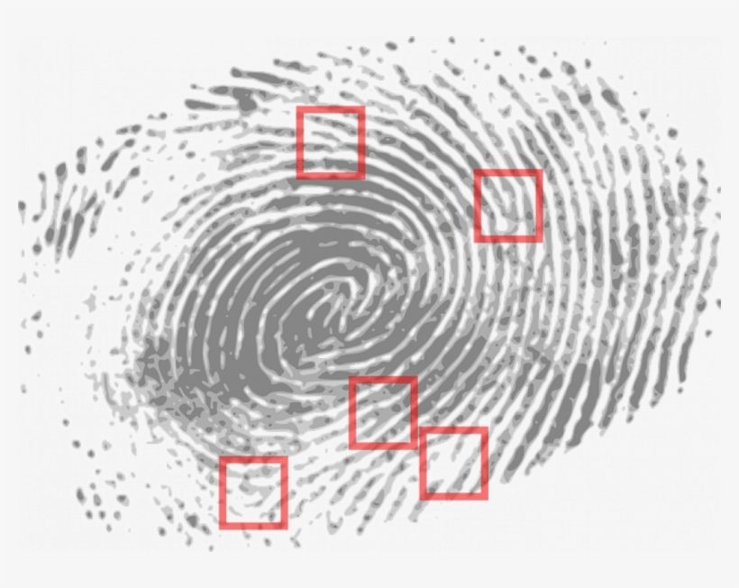 The Identity We Can't Change, transparent png