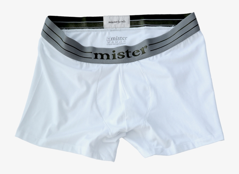 Mister Boxer, transparent png