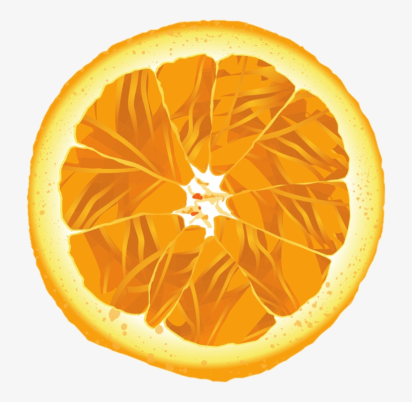 Gallery, transparent png