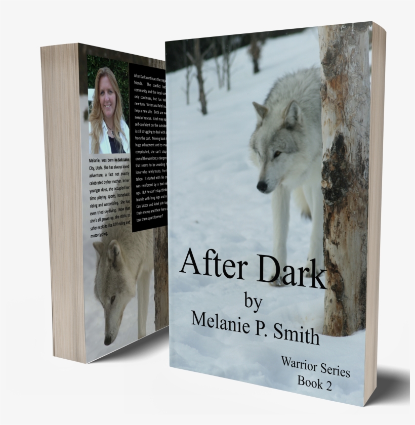 Warrior Series Book, transparent png