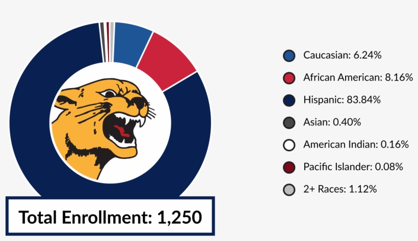 Total Enrollment 1,287 Caucasian, transparent png