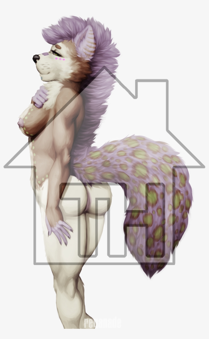 Details, transparent png