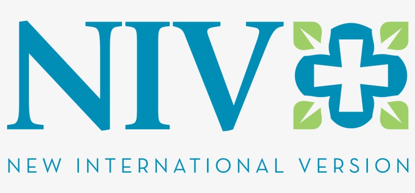 So Why Does Mary Kassian Think The New Niv Is Bad, transparent png