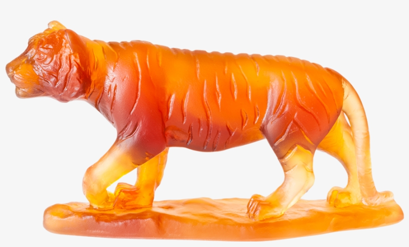 Tiger, transparent png