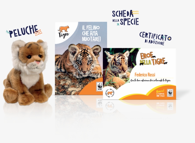 Con Il Kit Adozioni Junior, Il Tuo Bimbo Riceverà Una, transparent png