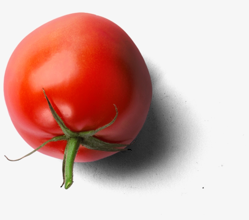 Tomate, transparent png