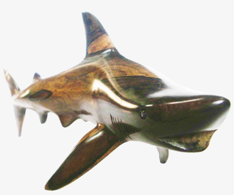 Blacktip Shark M, transparent png