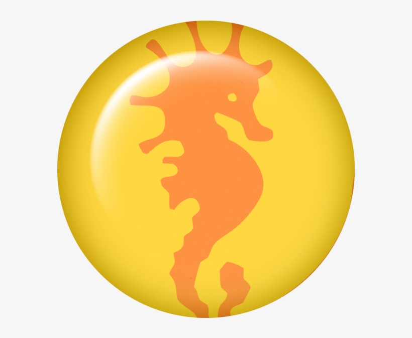 Seahorse, transparent png
