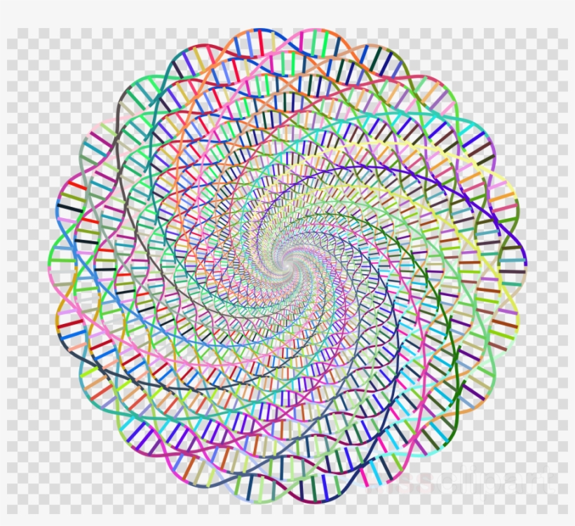 Dna Clipart Dna Nucleic Acid Double Helix Genomics, transparent png