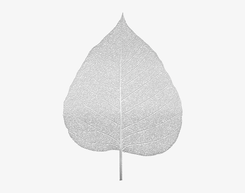 Bleed Area May Not Be Visible, transparent png