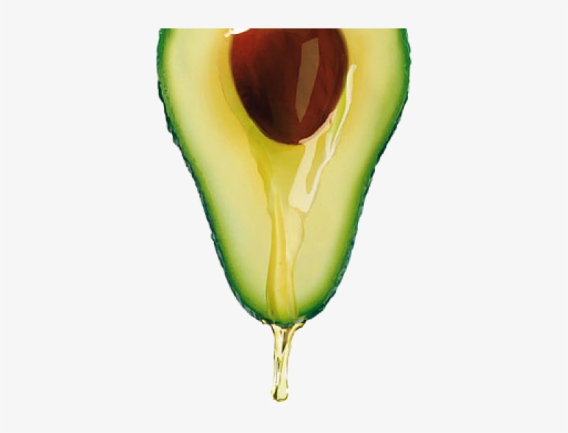 Aguacate Png, transparent png