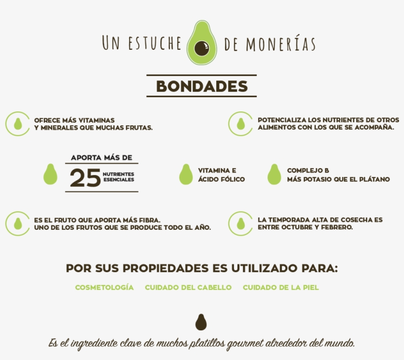 Historia Del Aguacate, transparent png