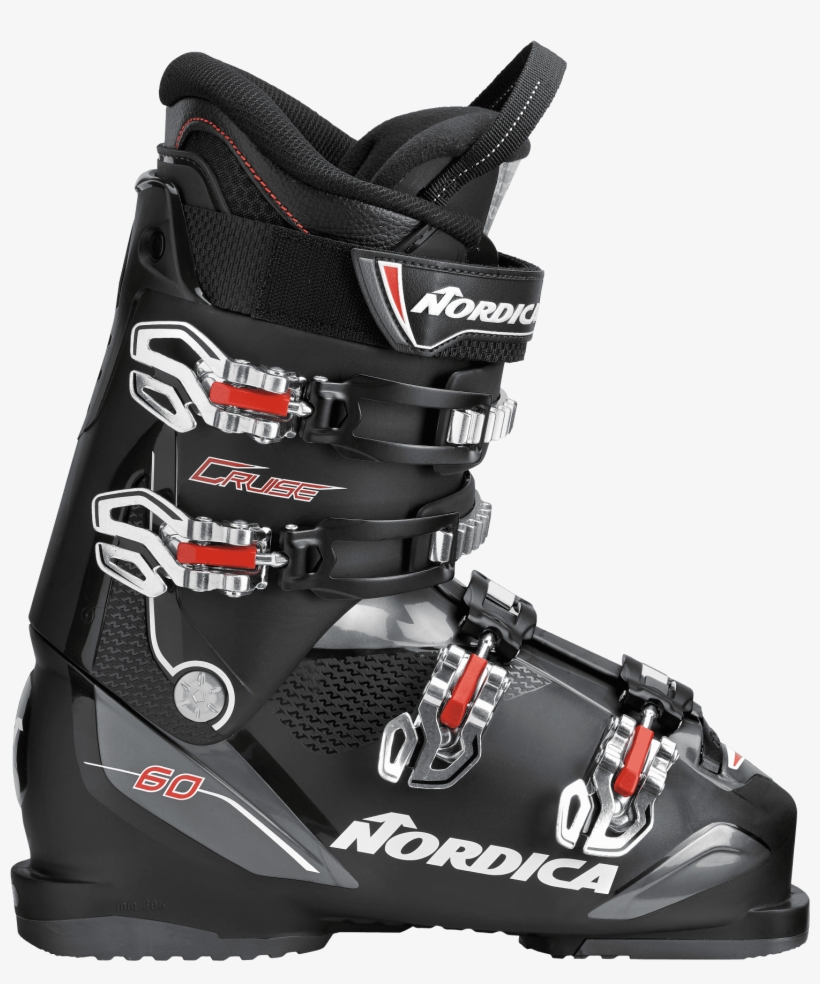 Cruise, transparent png