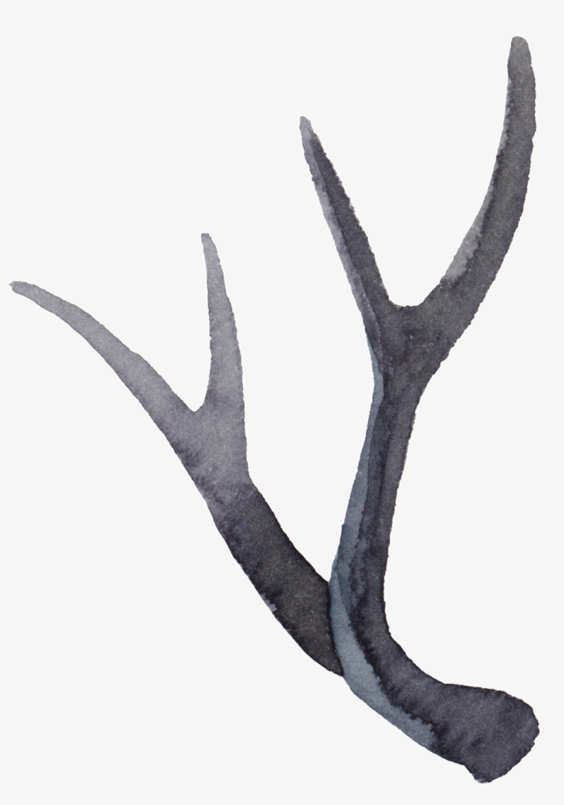 Cuernos De Animal Retro Acuarela Png Transparente, transparent png