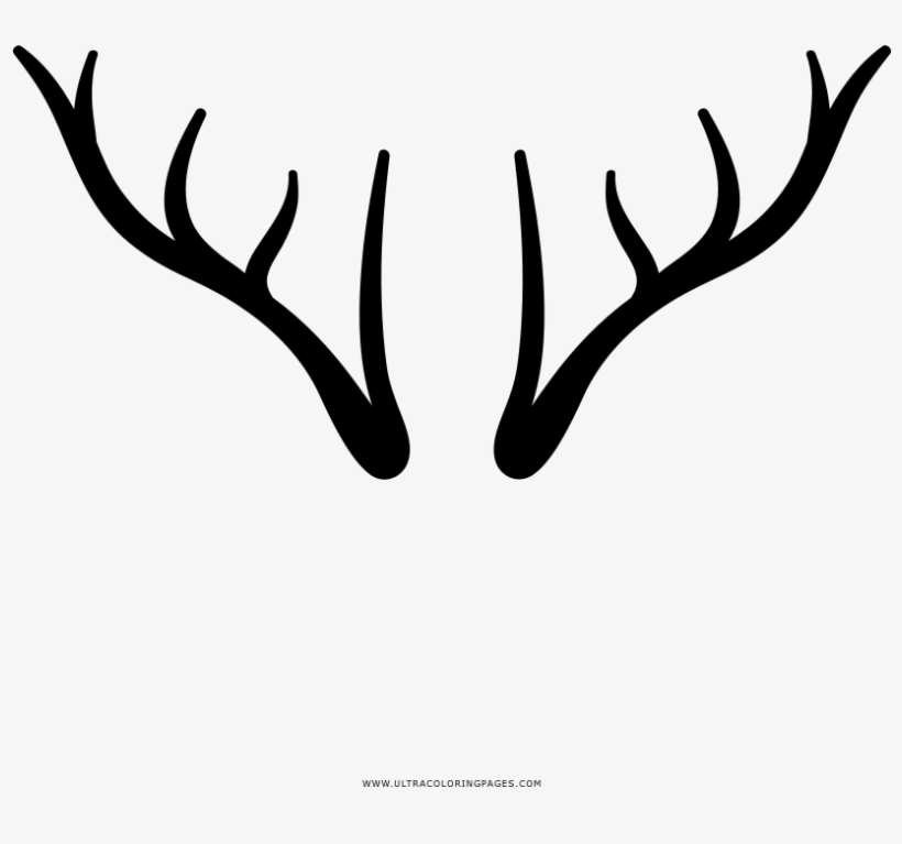 Related Wallpapers, transparent png