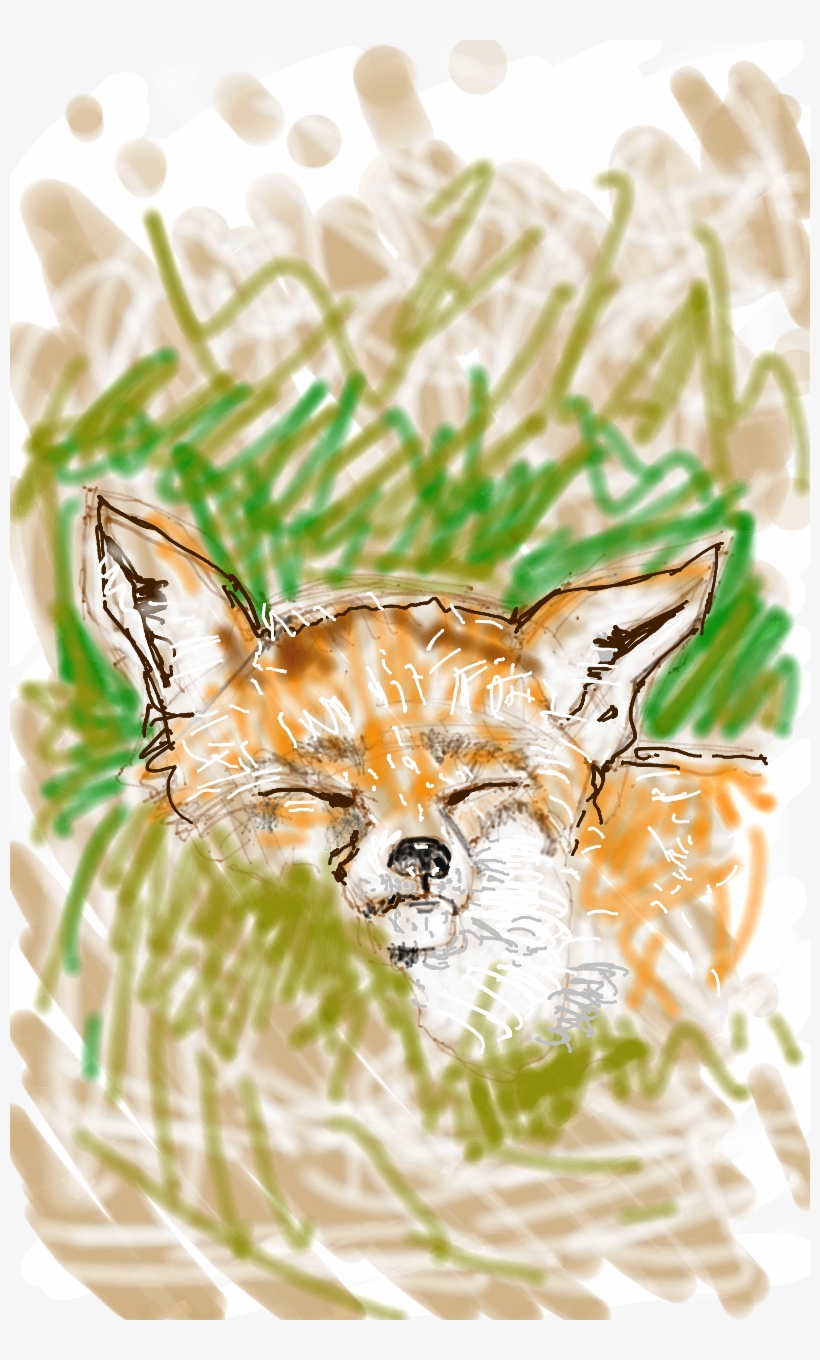 The Sleeping Fox From Scratch, transparent png