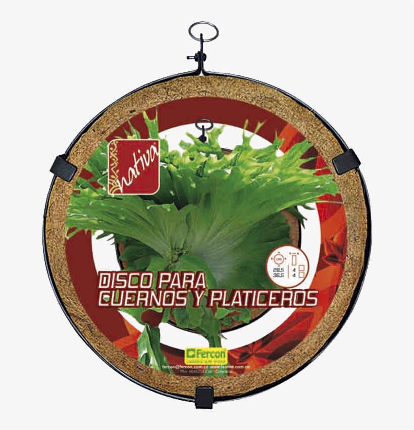 Disco Para Cuernos Y Platiceros 28 Cm, transparent png