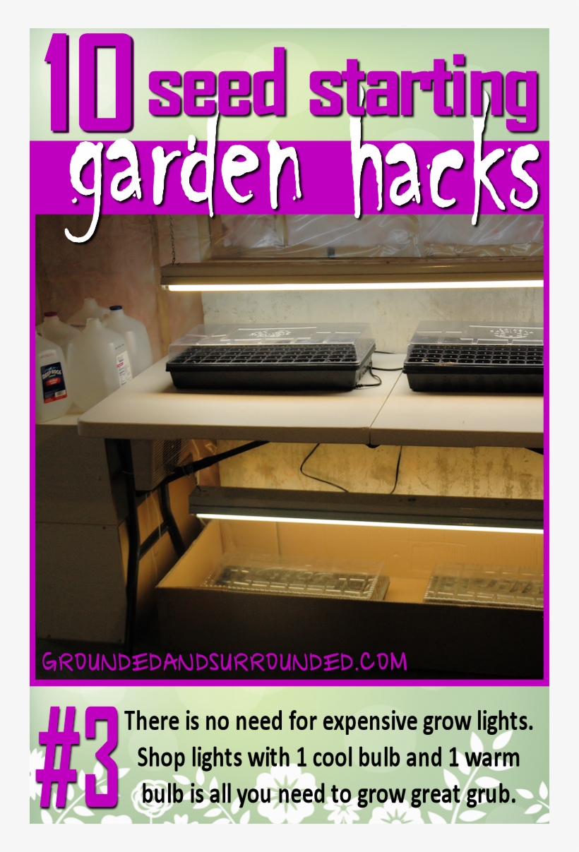 You Do Not Need Expensive Grow Lights, transparent png