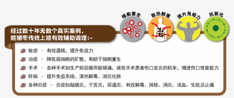 46 Pm 6561 Identifyporcupine 2/16/2015, transparent png