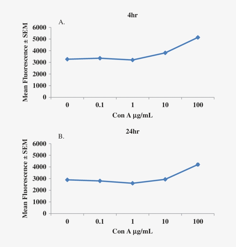 Cona Peripheral Blood Lymphocytes Proliferation Curves, transparent png
