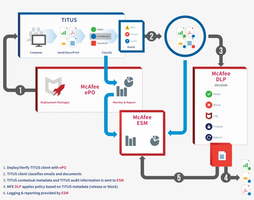 Mcafee-illustration, transparent png