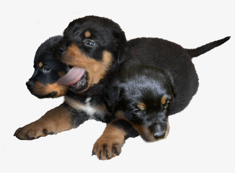 Post, transparent png