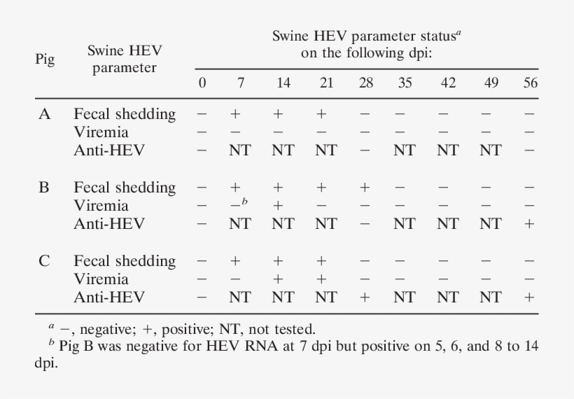 Viremia, Fecal Shedding, And Seroconversion In Positive-control, transparent png