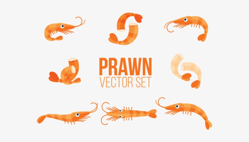 Prawns Icons Vector, transparent png