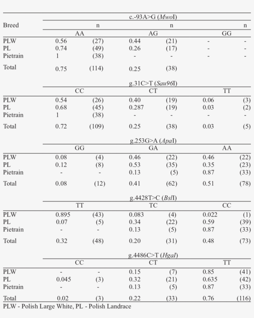 The Genotype Frequencies Of Selected Polymorphisms, transparent png