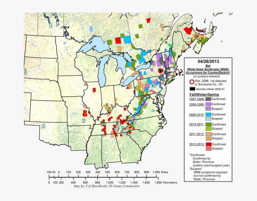 Expansion Of White-nose Syndrome In, transparent png