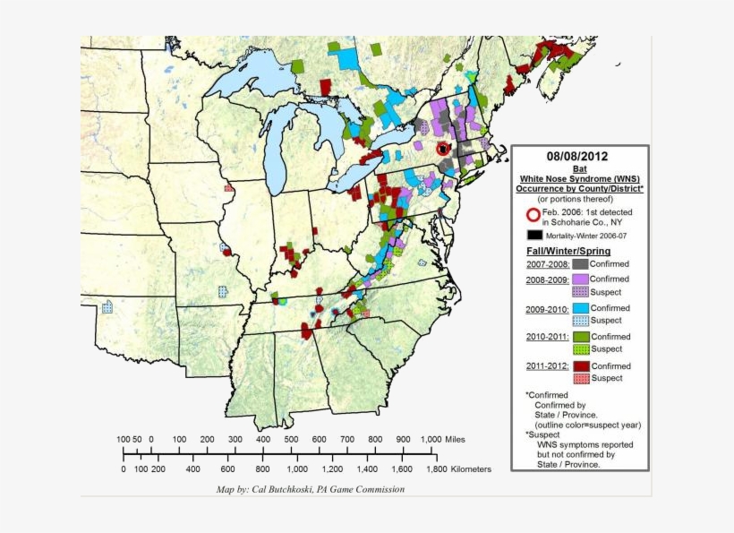 Expansion Of White-nose Syndrome In, transparent png
