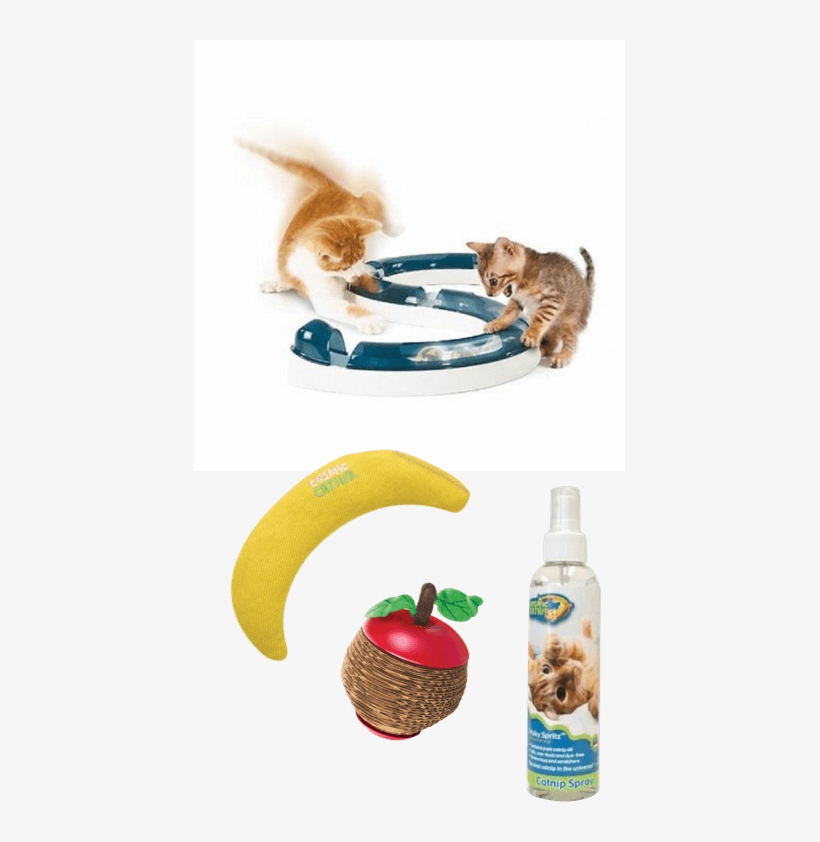 If Your Kitten Is Nervous Or Anxious, A Pheromone Spray, transparent png