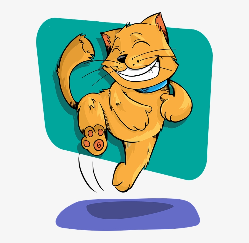 Cat, Animal, Funny, Cute, Adorable, Happy, Excited, transparent png