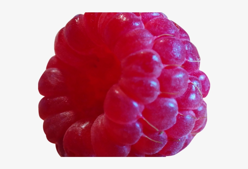 Blackberry Fruit Png Transparent Images, transparent png