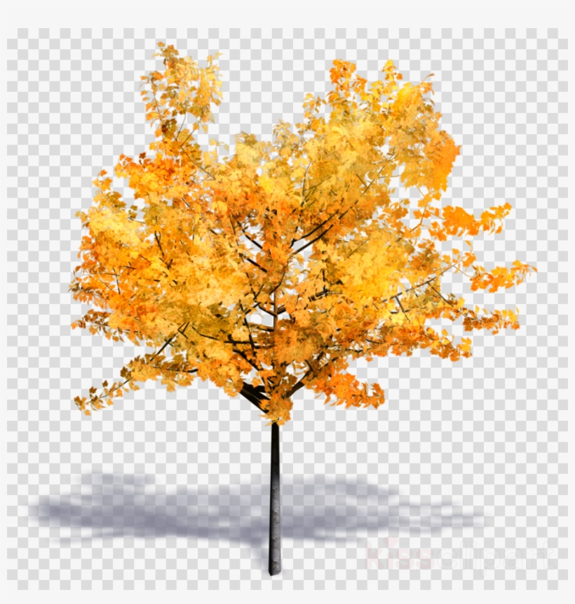 Tree Autumn Png Clipart Twig Autumn Tree, transparent png