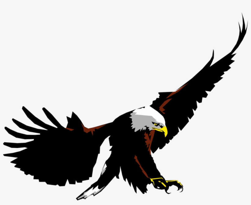Vector Illustration Of American Bald Eagle National, transparent png