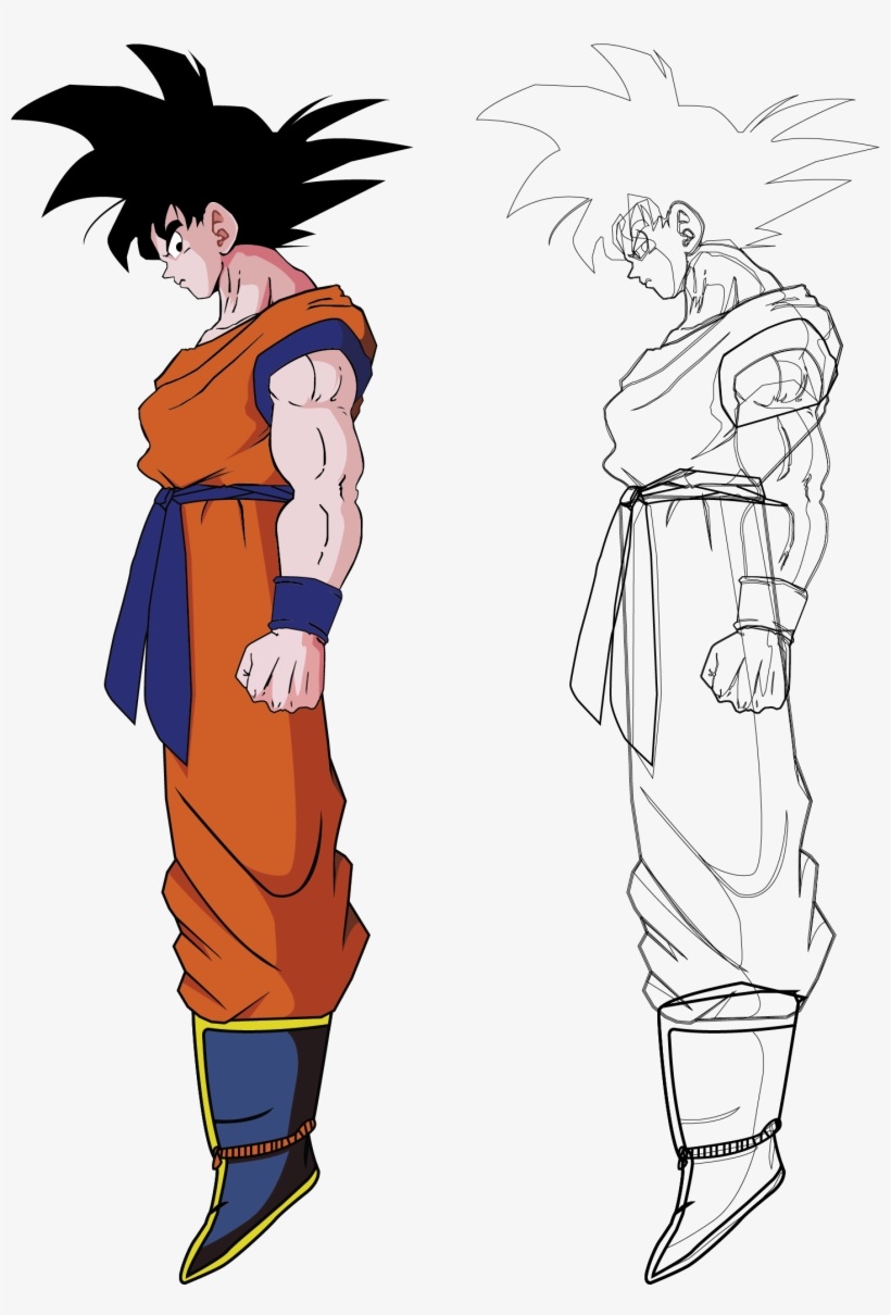 Right Part Is Vector Outlines, transparent png