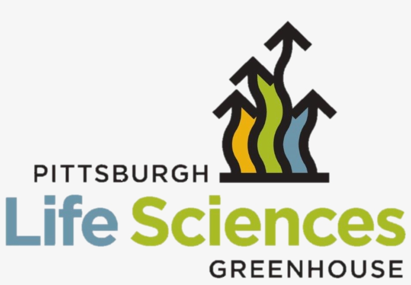 Behavior Change And Patient Engagement, transparent png