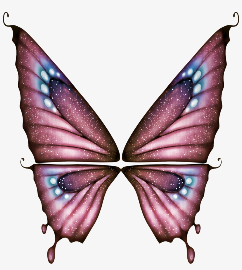Fairies & Gnomes, transparent png