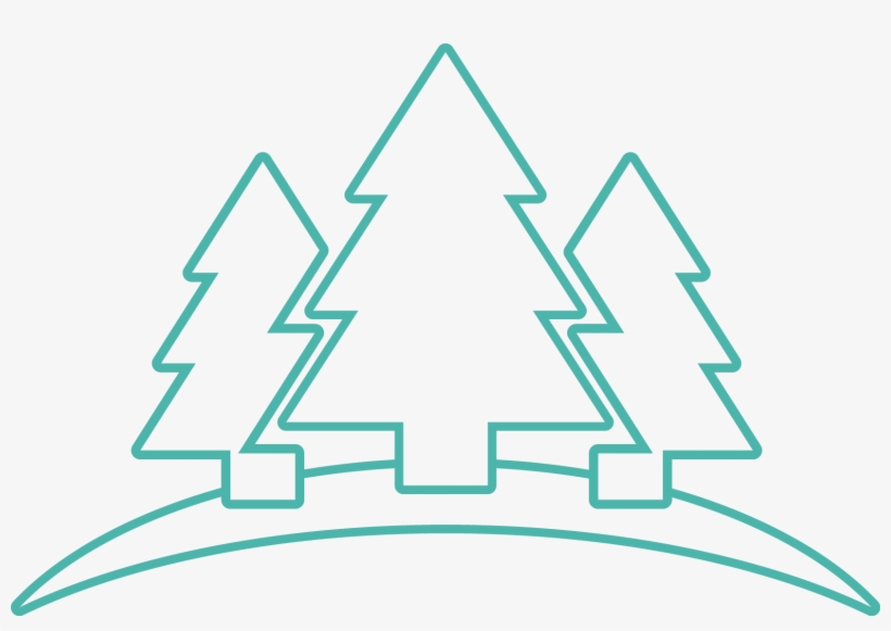 Tree Stroke, transparent png