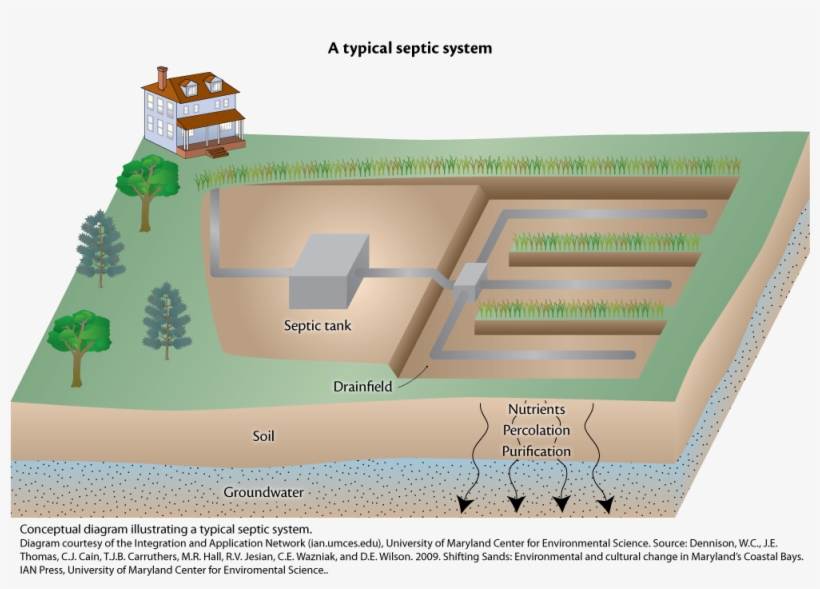 Iil Diagram Septic S, transparent png