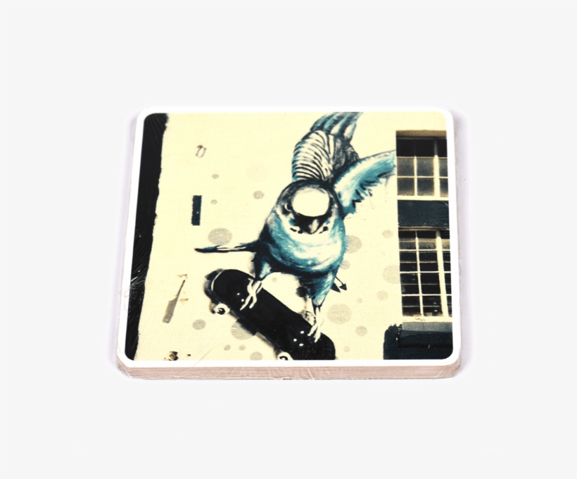 Budgie Png, transparent png