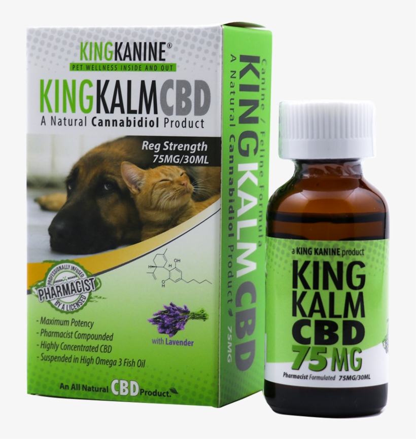 How Cbd Oil Will Change The Life Of Your Kitty Cat, transparent png