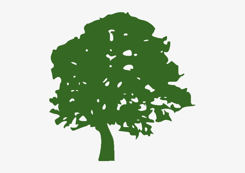 Fruit Tree Silhouette2 - Green Tree Clip Art, transparent png