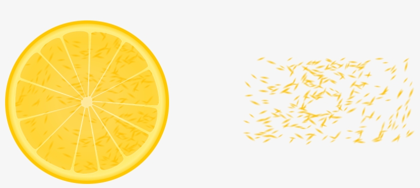 Lemon, Citron, Citrus, Food, Fruit, Orange, Slice - Orange Slice Png Transparent, transparent png