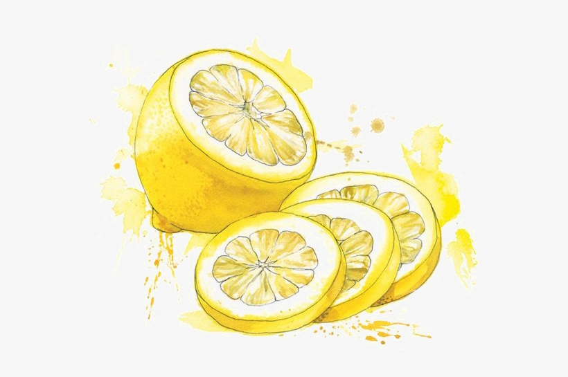 Clip Download Painting Food Illustration Lemon Transprent - Watercolor Painting, transparent png