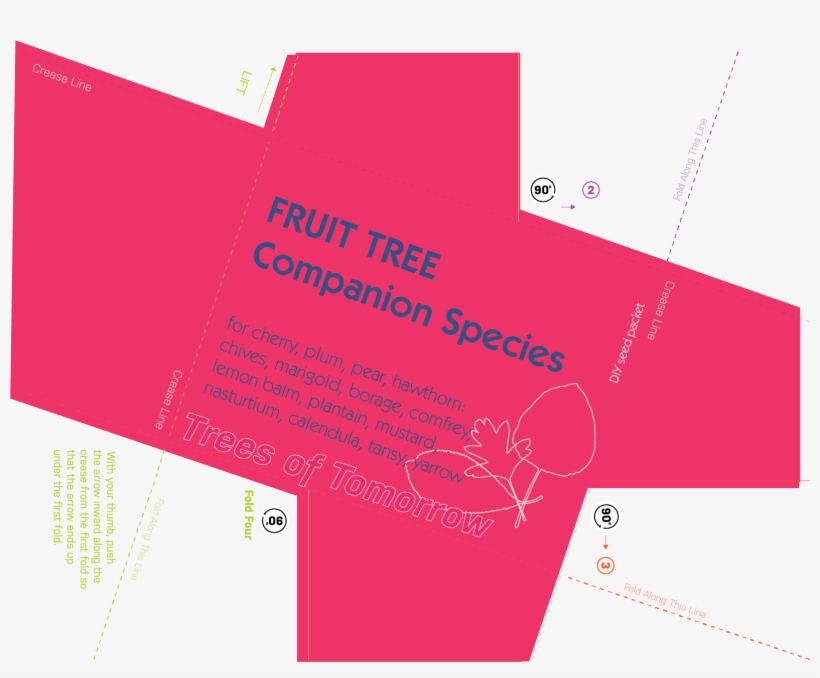 Fruit-seedpacketscopy - Envelope, transparent png