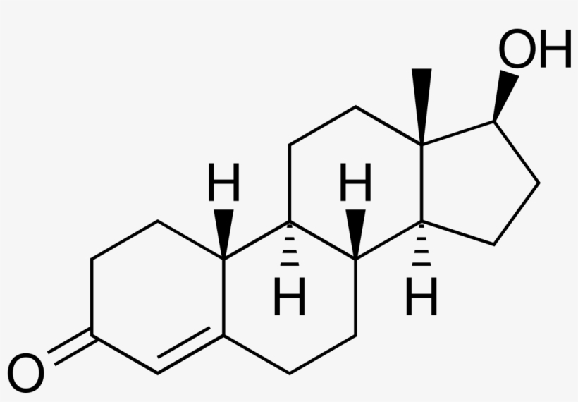 19 Nortestosterone, transparent png